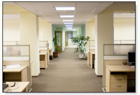 Carpet Cleaning College Park